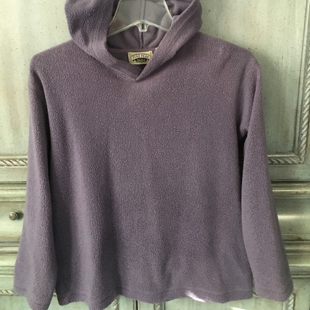 Purple/gray hoodie from Nordstrom